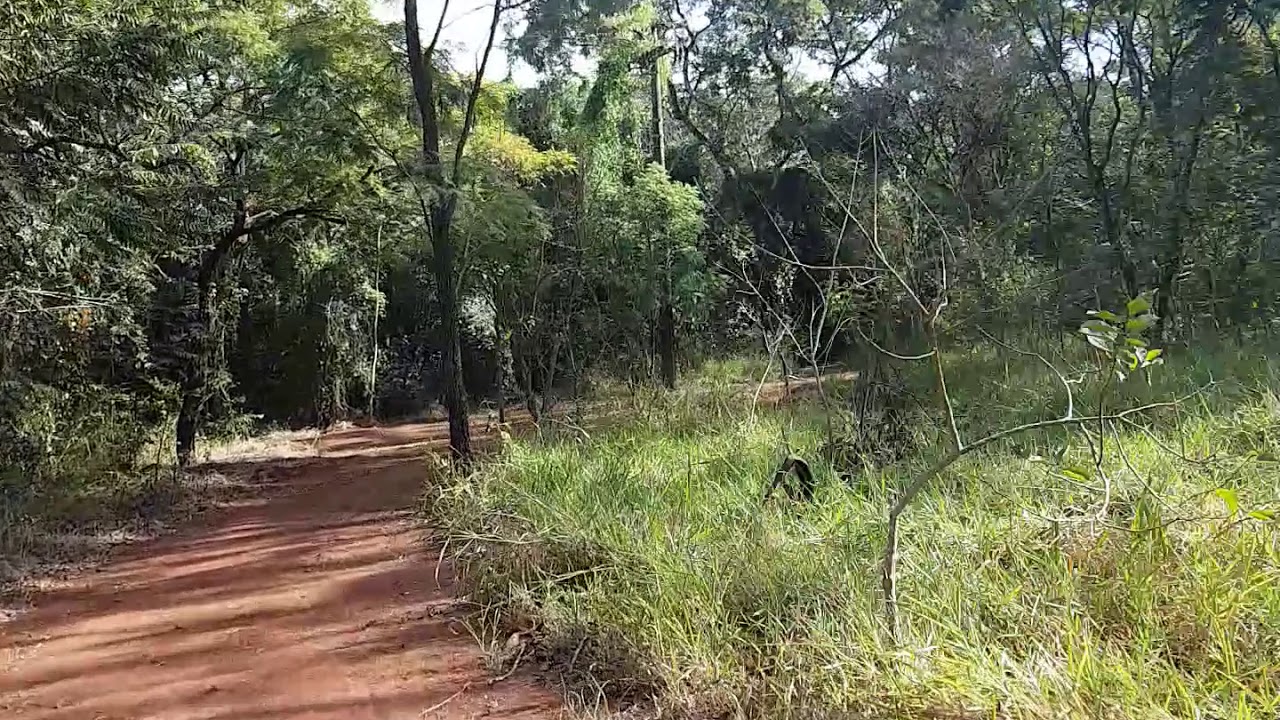 Qualidade de Vida além do Sorriso